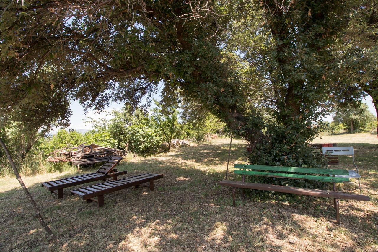 Apartments Josip By The Sea Novi Vinodolski Εξωτερικό φωτογραφία